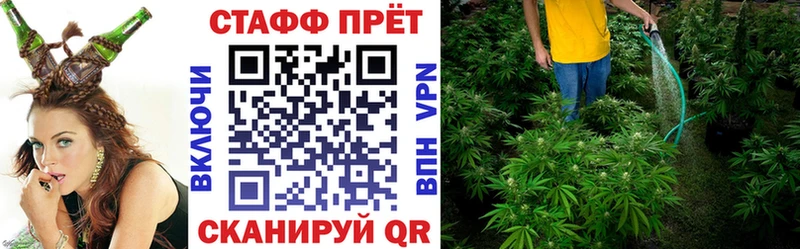 Конопля Полысаево