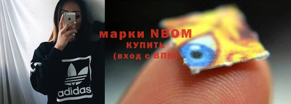 бошки Горняк