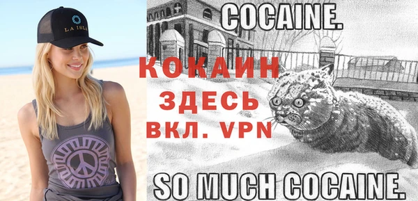 бошки Горняк