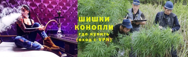 бошки Горняк
