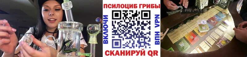 Псилоцибиновые грибы Cubensis  Купить  Полысаево 